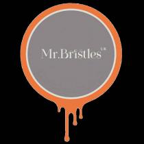 Mr Bristles UK