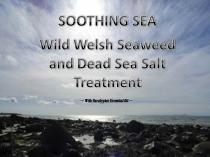 Soothing Sea Wild Welsh Seaweed and Dead Sea Salt Treatment with Eucalyptus Essential Oil