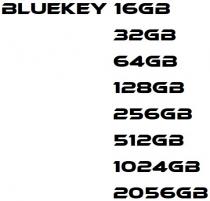 BLUEKEY 16GB 32GB 64GB 128GB 256GB 512GB 1024GB 2056GB