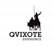 QVIXOTE EXPERIENCE