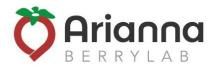 BERRYLAB ARIANNA