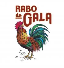 RABO DE GALA