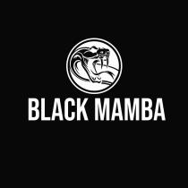 Black Mamba