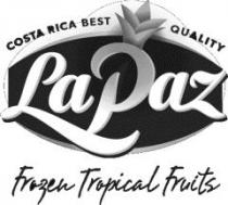 LaPaz Costa Rica Best Quality Frozen Tropical Fuits