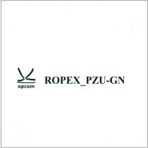 opcom ROPEX_PZU-GN