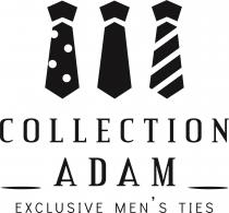 COLLECTION ADAM EXCLUSIVE MEN ' S TIES