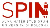 SPIN OFF ALMA MATER STUDIORUM UNIVERSITA' DI BOLOGNA