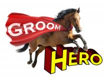 GROOM HERO