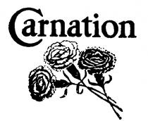 CARNATION