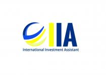 IIA International Investment Assistant