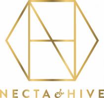 NECTA & HIVE