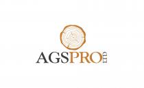 AGS PRO LTD