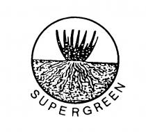 SUPERGREEN