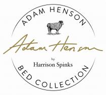 ADAM HENSON ADAM HENSON BY HARRISON SPINKS BED COLLECTION