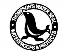 THOMPSON'S WATER SEAL WATERPROOFS & PROTECTS