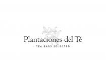 PLANTACIONES DEL TE - TEA BAGS SELECTED-