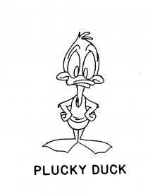 PLUCKY DUCK