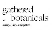 gathered botanicals ~ syrups, jams and jellies