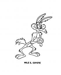 WILE E. COYOTE