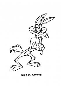 WILE E. COYOTE