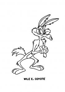 WILE E. COYOTE