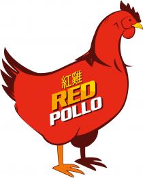 Red Pollo 紅雞