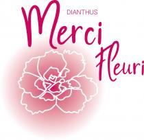 Dianthus Merci Fleur