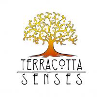 Terracotta Senses
