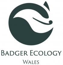 Badger Ecology Wales