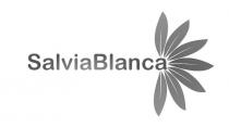 Salvia Blanca