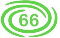 66