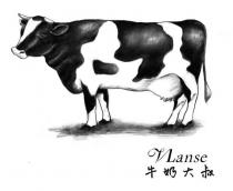 VLanse 牛奶大叔