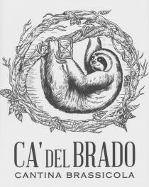 CA' DEL BRADO CANTINA BRASSICOLA