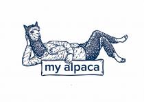 my alpaca