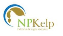 NP KELP EXTRACTO DE ALGAS MARINAS