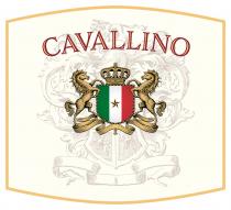 CAVALLINO