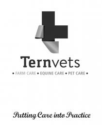 Ternvets FARM CARE EQUINE CARE PET CARE Putting Care into Practice