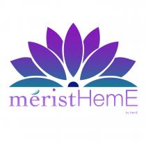 méristHemE by HemE