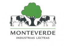 MONTEVERDE INDUSTRIAS LÁCTEAS