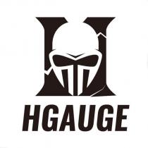 HGAUGE