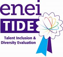 enei TIDE Talent Inclusion & Diversity Evaluation