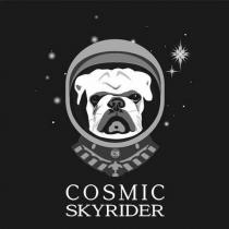 COSMIC SKYRIDER