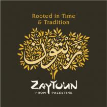 ROOTED IN TIME & TRADITION ZAYTOUN FROM PALESTINE