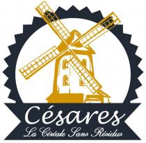 Césares La Céréale Sans Résidus