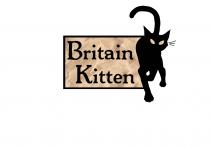 Britain Kitten