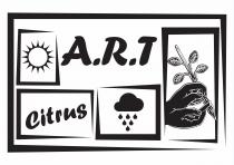 A.R.T Citrus