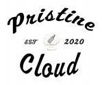 Pristine Cloud Est 2020