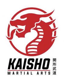 KAISHO MARTIAL ARTS