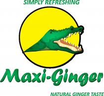 Maxi-Ginger simply refreshing natural ginger taste