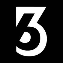 3b